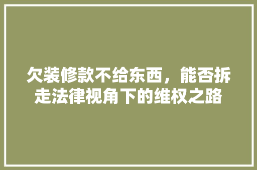 欠装修款不给东西，能否拆走法律视角下的维权之路