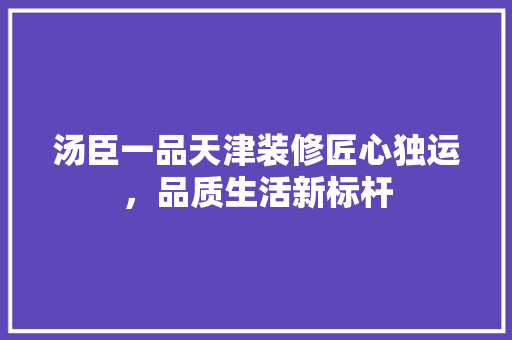 汤臣一品天津装修匠心独运，品质生活新标杆