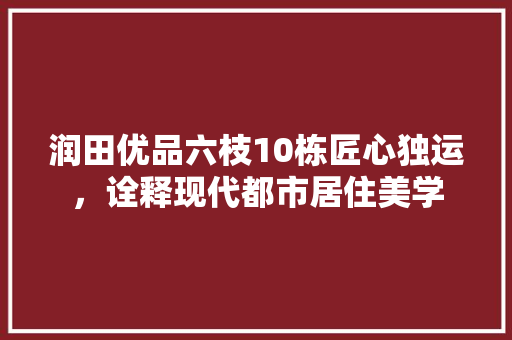 润田优品六枝10栋匠心独运，诠释现代都市居住美学