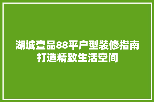 湖城壹品88平户型装修指南打造精致生活空间