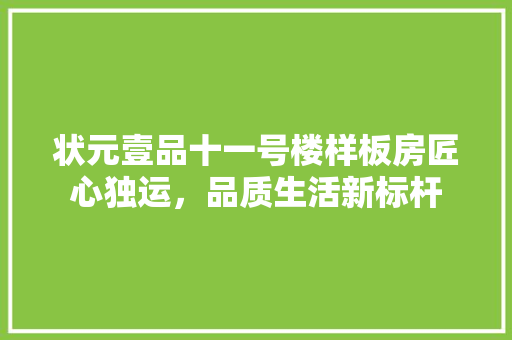 状元壹品十一号楼样板房匠心独运，品质生活新标杆