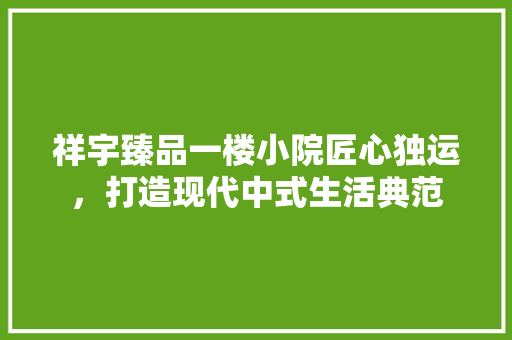 祥宇臻品一楼小院匠心独运，打造现代中式生活典范