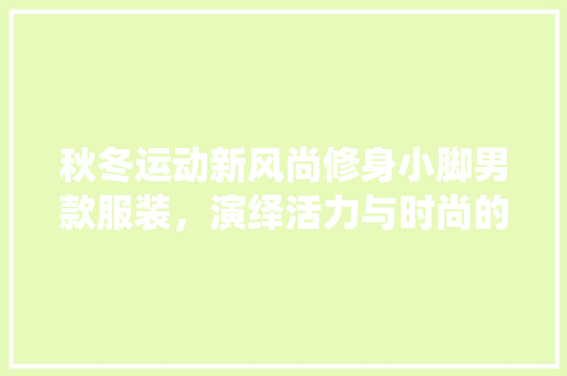 秋冬运动新风尚修身小脚男款服装，演绎活力与时尚的完美融合