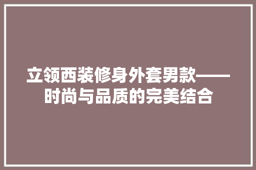 立领西装修身外套男款——时尚与品质的完美结合