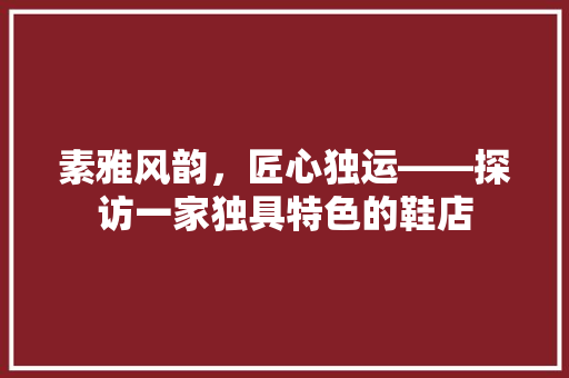 素雅风韵，匠心独运——探访一家独具特色的鞋店