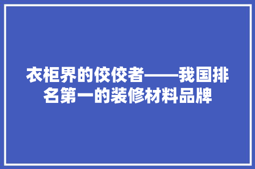 衣柜界的佼佼者——我国排名第一的装修材料品牌