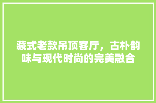 藏式老款吊顶客厅，古朴韵味与现代时尚的完美融合