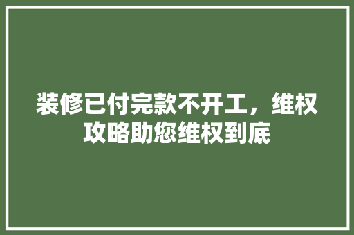 装修已付完款不开工，维权攻略助您维权到底