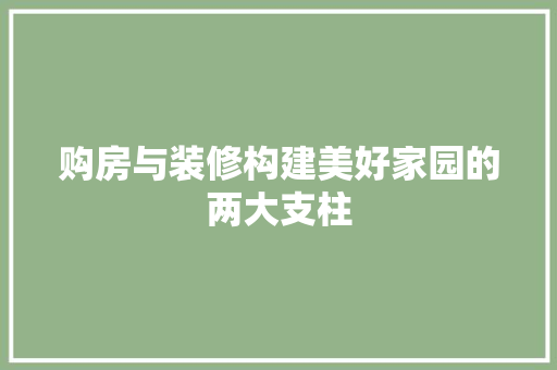 购房与装修构建美好家园的两大支柱