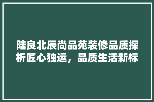 陆良北辰尚品苑装修品质探析匠心独运，品质生活新标杆