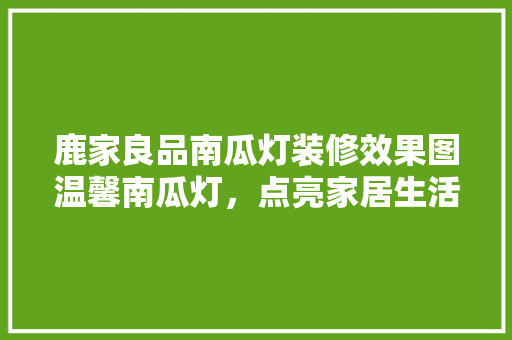 鹿家良品南瓜灯装修效果图温馨南瓜灯，点亮家居生活美学
