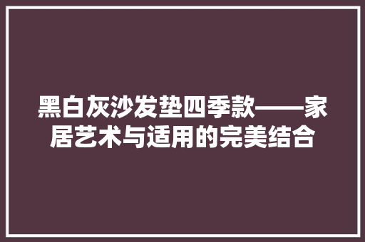 黑白灰沙发垫四季款——家居艺术与适用的完美结合