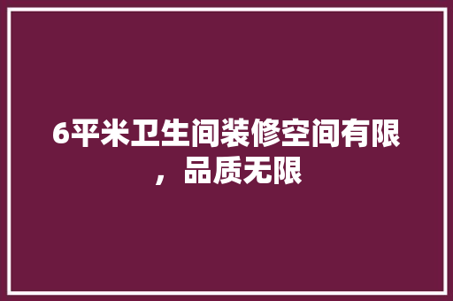 6平米卫生间装修空间有限，品质无限