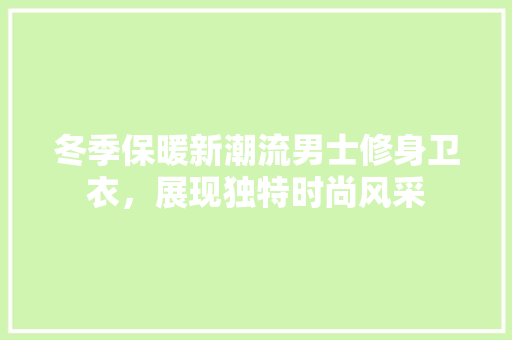 冬季保暖新潮流男士修身卫衣，展现独特时尚风采