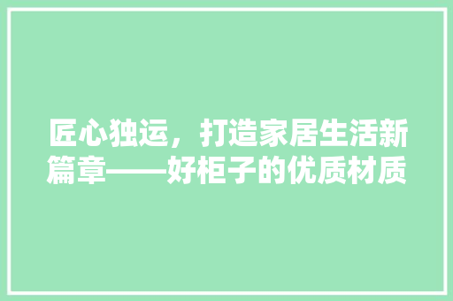匠心独运，打造家居生活新篇章——好柜子的优质材质推荐