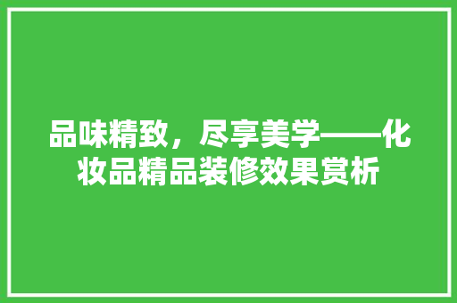 品味精致，尽享美学——化妆品精品装修效果赏析