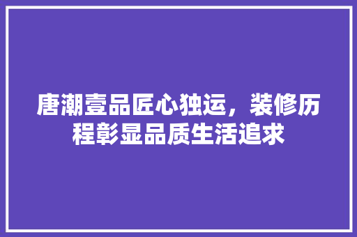 唐潮壹品匠心独运，装修历程彰显品质生活追求
