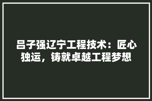 吕子强辽宁工程技术：匠心独运，铸就卓越工程梦想 卧室装修