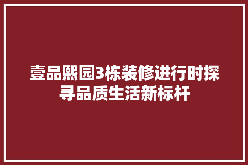 壹品熙园3栋装修进行时探寻品质生活新标杆
