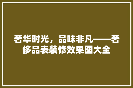 奢华时光，品味非凡——奢侈品表装修效果图大全