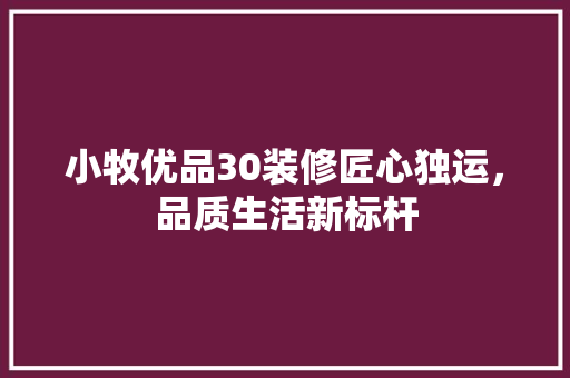 小牧优品30装修匠心独运，品质生活新标杆