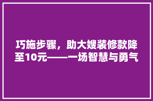 巧施步骤，助大嫂装修款降至10元——一场智慧与勇气的较量