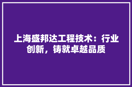 上海盛邦达工程技术：行业创新，铸就卓越品质