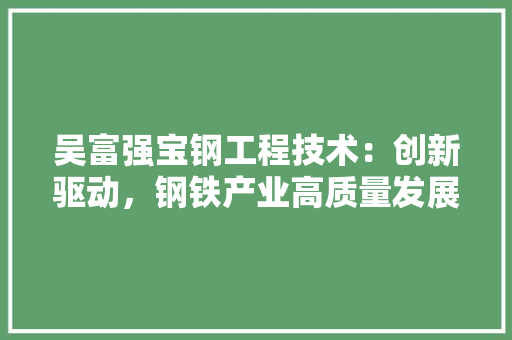 吴富强宝钢工程技术：创新驱动，钢铁产业高质量发展 卧室装修