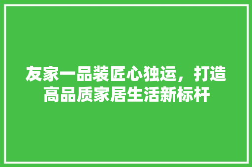 友家一品装匠心独运，打造高品质家居生活新标杆