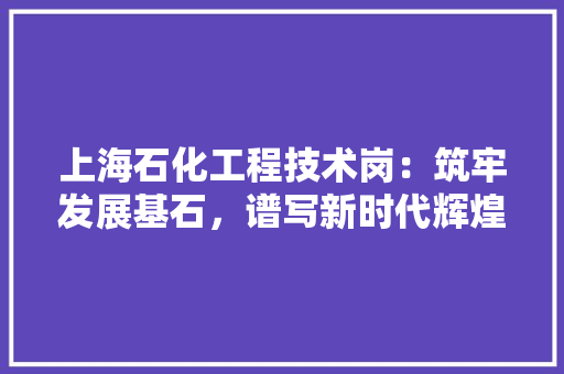 上海石化工程技术岗：筑牢发展基石，谱写新时代辉煌篇章 家居装修