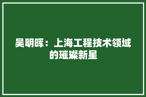 吴明晖：上海工程技术领域的璀璨新星