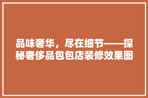 品味奢华，尽在细节——探秘奢侈品包包店装修效果图