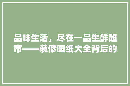 品味生活，尽在一品生鲜超市——装修图纸大全背后的设计智慧