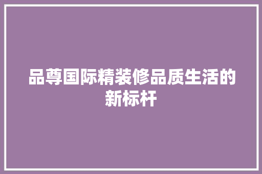 品尊国际精装修品质生活的新标杆