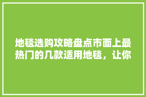 地毯选购攻略盘点市面上最热门的几款适用地毯，让你的家焕然一新！