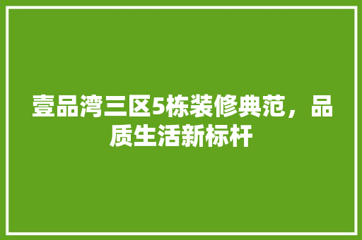 壹品湾三区5栋装修典范，品质生活新标杆
