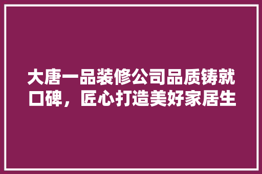 大唐一品装修公司品质铸就口碑，匠心打造美好家居生活