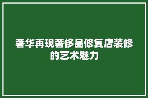 奢华再现奢侈品修复店装修的艺术魅力