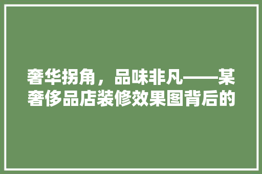 奢华拐角，品味非凡——某奢侈品店装修效果图背后的设计理念