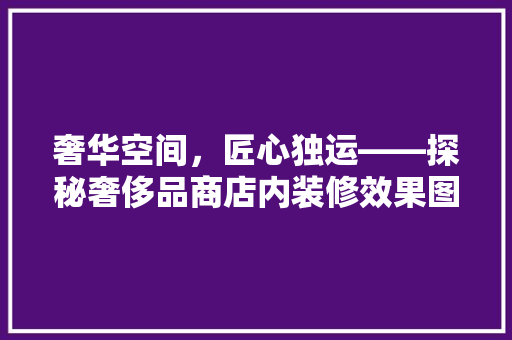 奢华空间，匠心独运——探秘奢侈品商店内装修效果图
