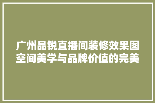 广州品锐直播间装修效果图空间美学与品牌价值的完美融合