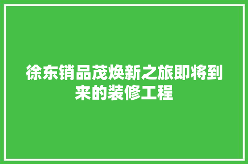 徐东销品茂焕新之旅即将到来的装修工程