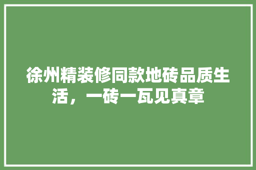 徐州精装修同款地砖品质生活，一砖一瓦见真章