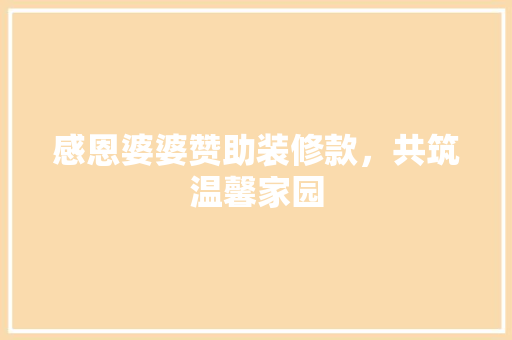 感恩婆婆赞助装修款，共筑温馨家园
