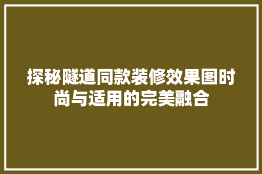 探秘隧道同款装修效果图时尚与适用的完美融合