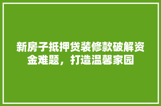 新房子抵押贷装修款破解资金难题，打造温馨家园