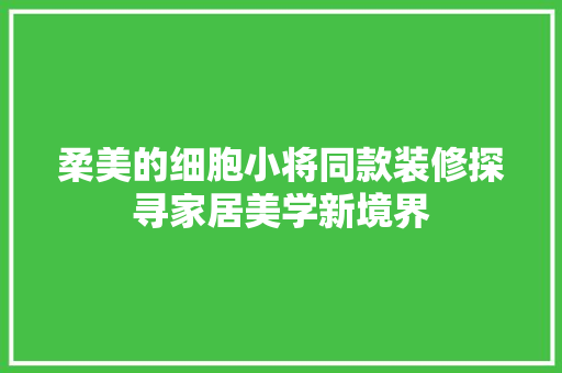 柔美的细胞小将同款装修探寻家居美学新境界