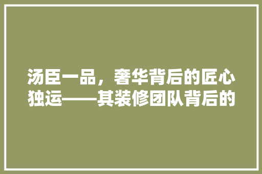 汤臣一品，奢华背后的匠心独运——其装修团队背后的故事