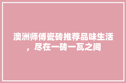 澳洲师傅瓷砖推荐品味生活，尽在一砖一瓦之间