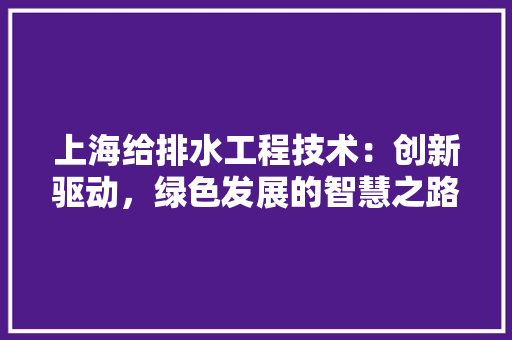 上海给排水工程技术：创新驱动，绿色发展的智慧之路